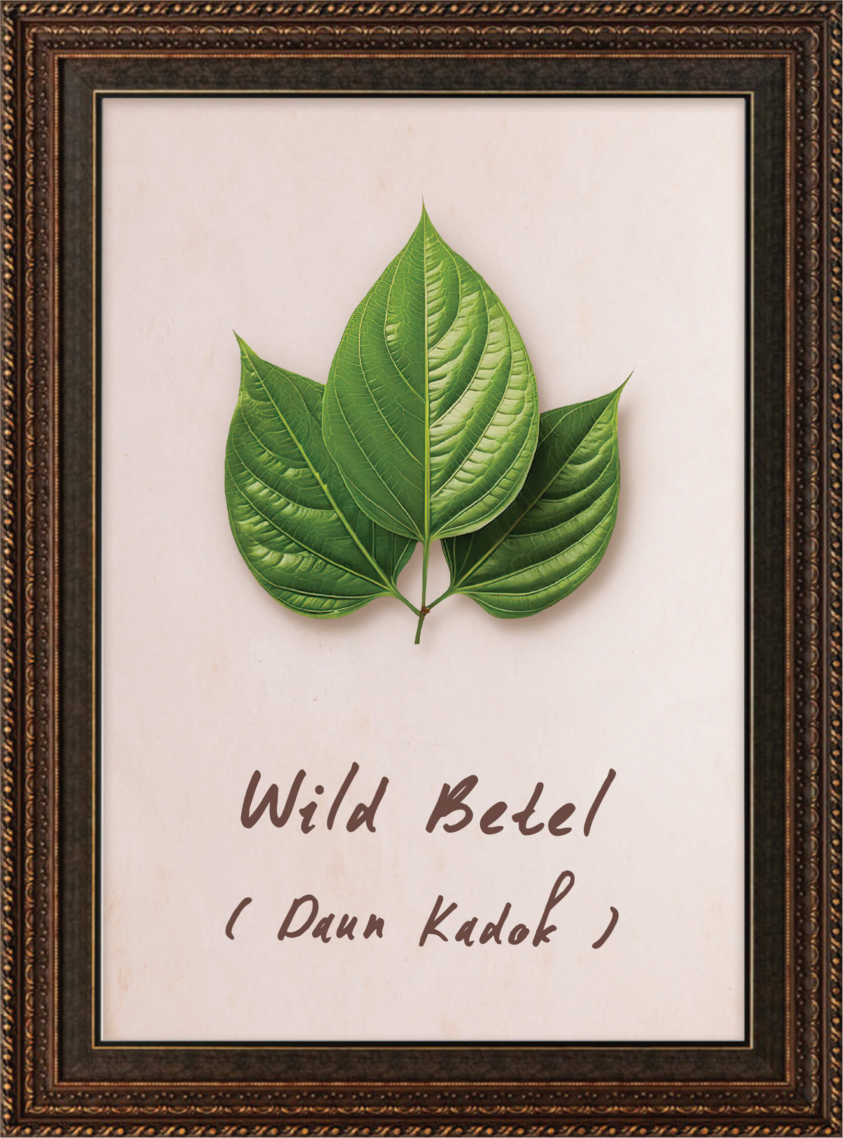 Wild Betel Leaf