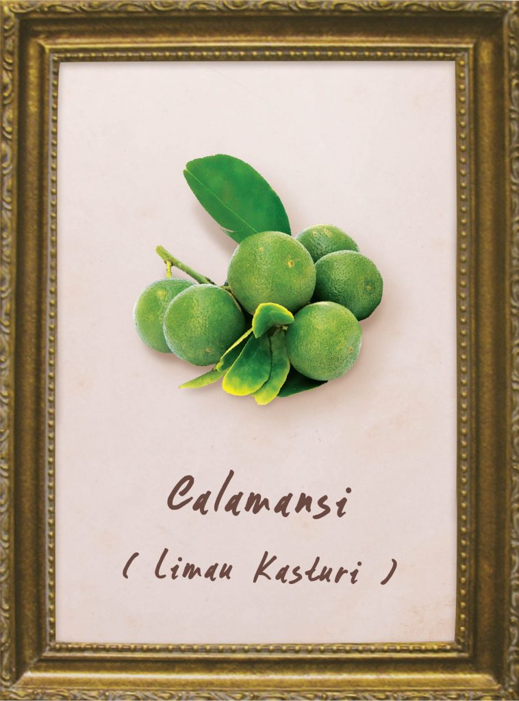 Calamondin (Calamansi)