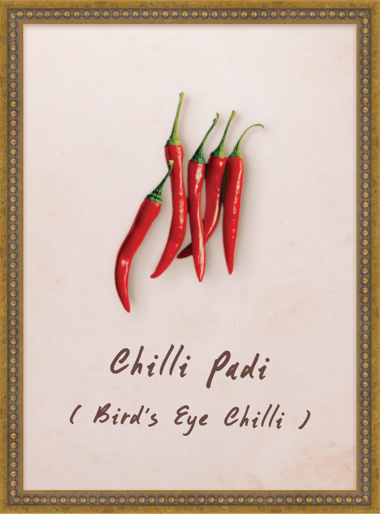 Chilli Padi (Bird’s Eye Chilli)