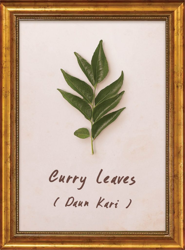 Curry Leaves