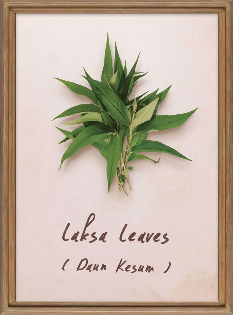 Laksa Leaf (Vietnamese Coriander)