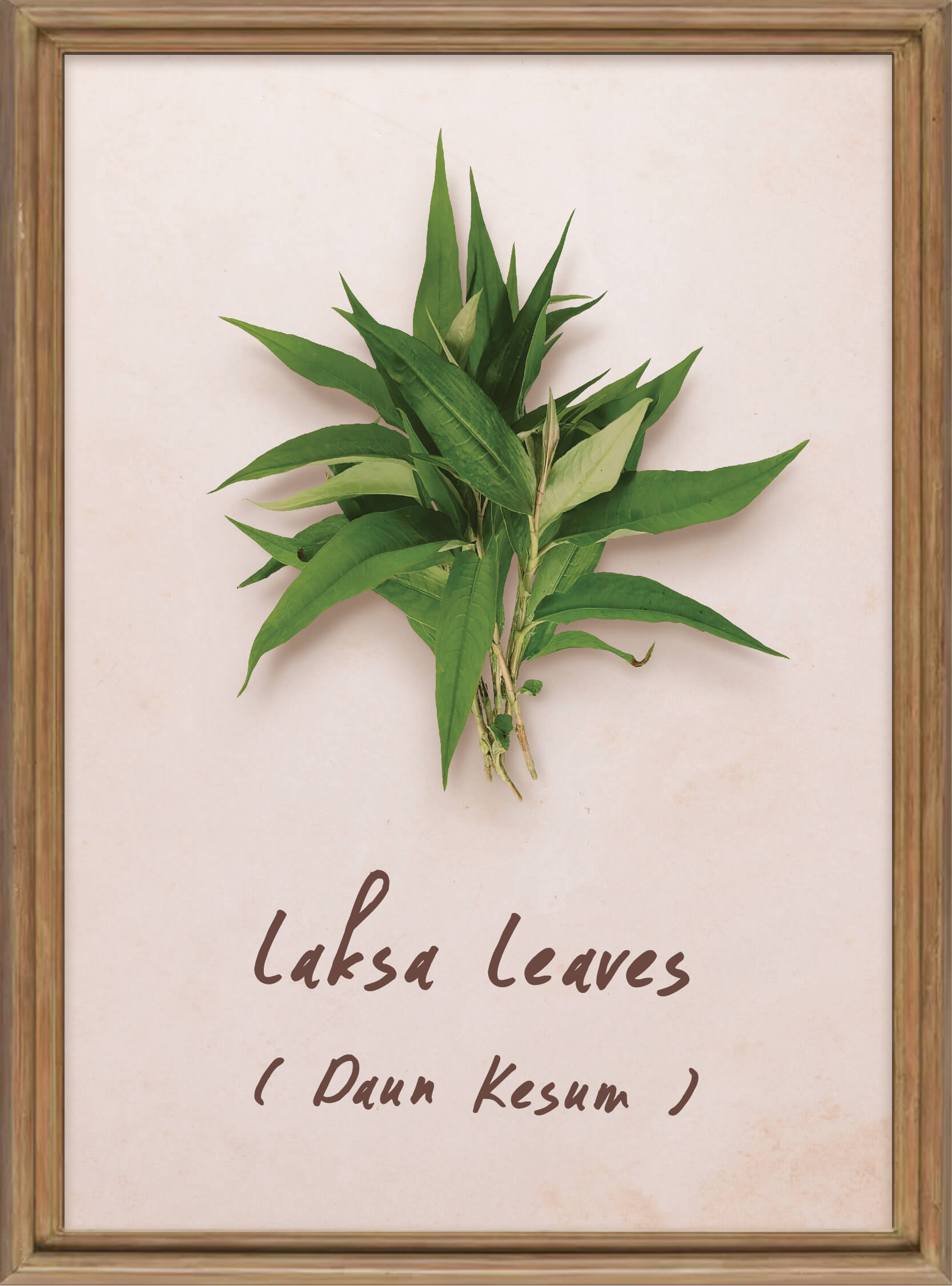 plants-laksa-leaves