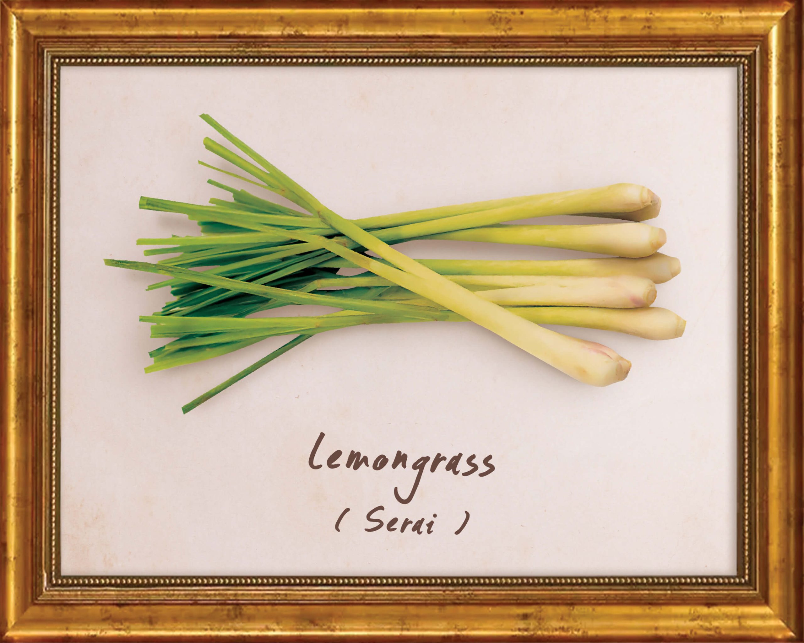 Lemongrass