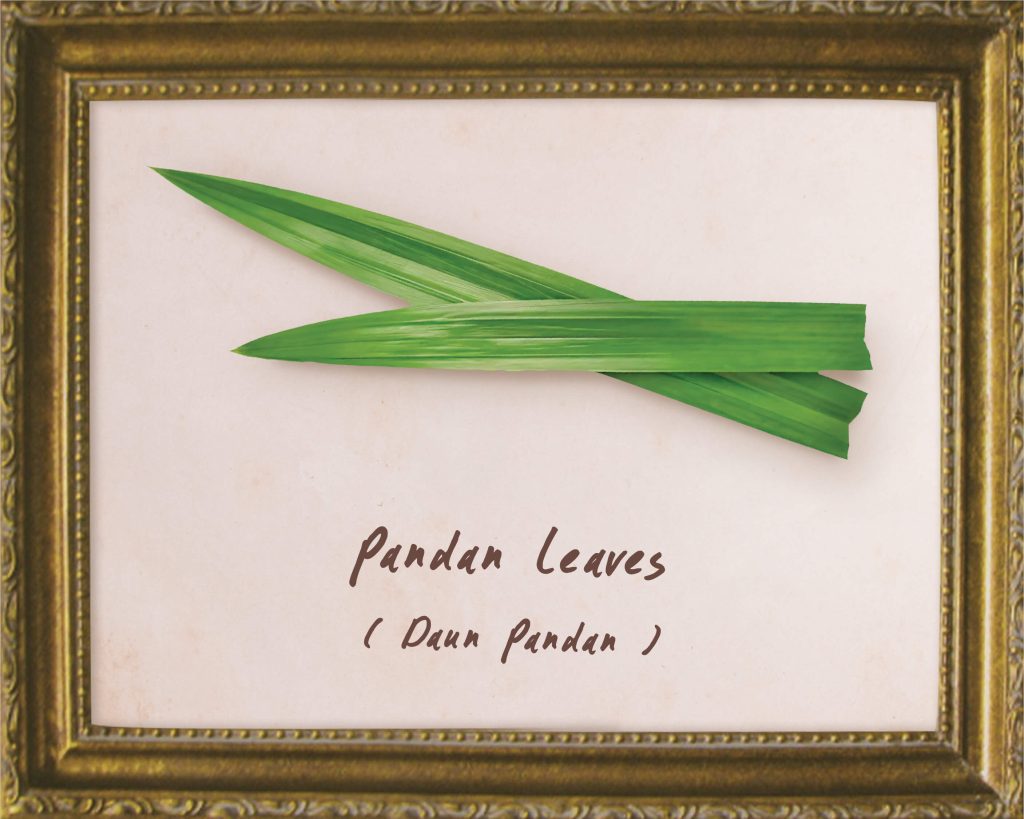 Pandan Leaves