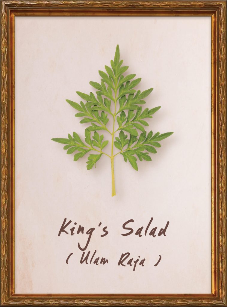 Raja Ulam (King’s Salad)