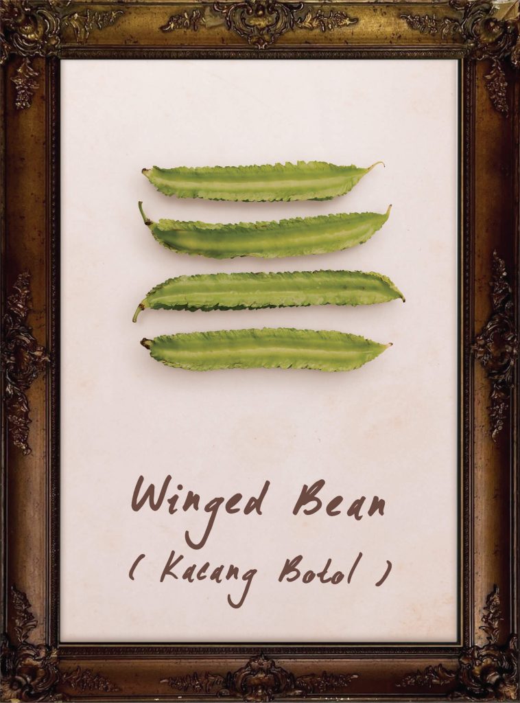 Winged Bean