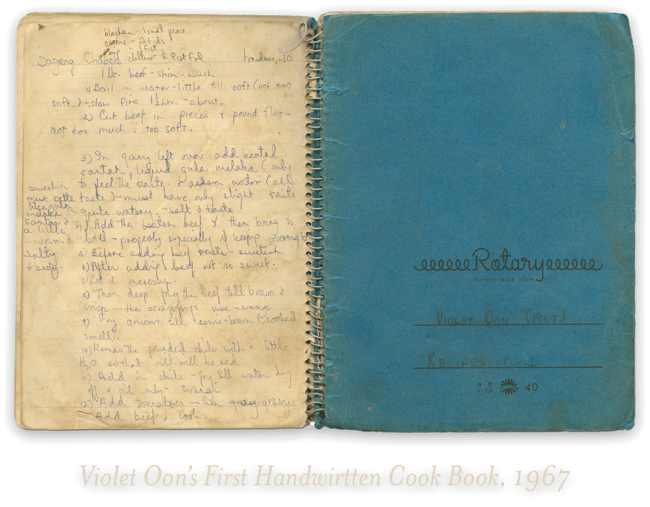 violet-oons-handwritten-cook-book